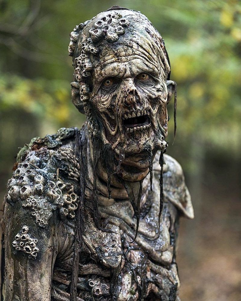 Zombie Apocalypse Survival